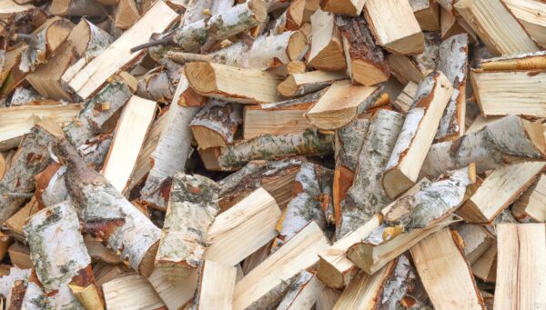 Buy Birch Firewood - Image 2