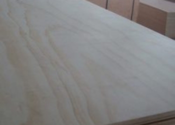 Oak Plywood