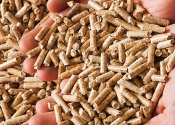 Biomass Wood Pellets Enplus A1